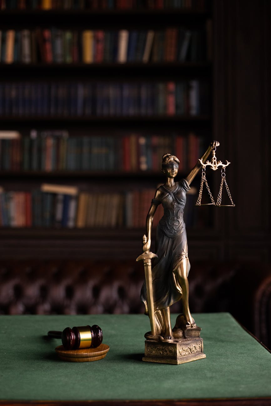 The Importance of Legal Representation for Immigrants in Federal Courts